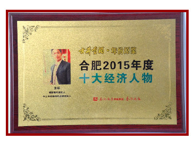 合肥2015年度十大经济人物
