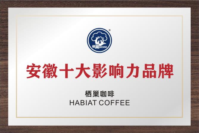 安徽十大影响力品牌